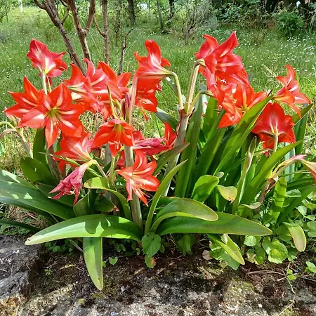 La Torretta Beverino