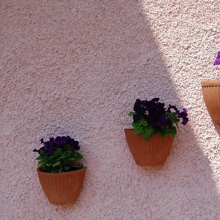 La Torretta *