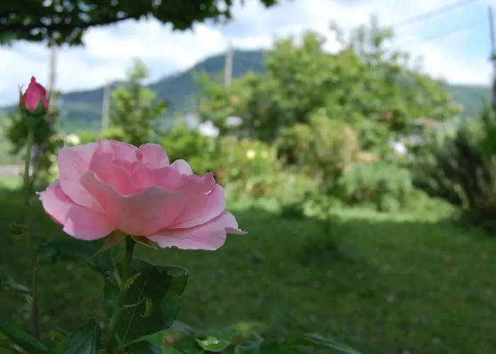 Lejlighed La Torretta